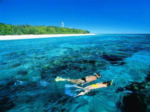 Lady Elliot Island Eco Resort - Day Trip - Accommodation ACT 0