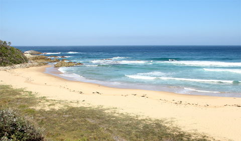 Aragunnu Campground - Accommodation ACT 2