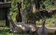 Avalon River Retreat - thumb 6