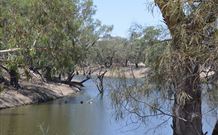 Brewarrina NSW Accommodation ACT