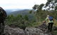 Callicoma Hill Eco-Cabins - thumb 1