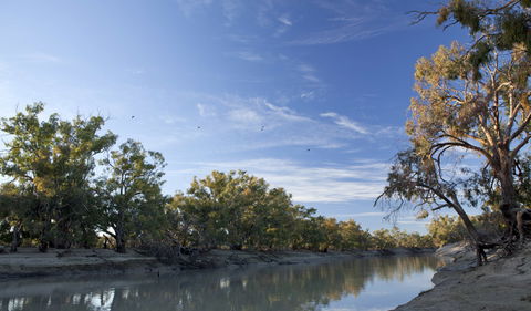Darling River Campground - Accommodation ACT 0