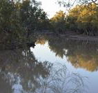 Four Mile Camping Reserve - Accommodation ACT