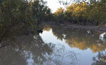 Four Mile Camping Reserve - Accommodation ACT 0