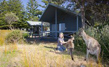 Murramarang Beachfront Nature Resort - Accommodation ACT 10