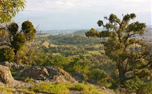 Old Bara - Accommodation ACT 6