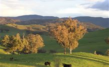 Old Bara - Accommodation ACT 7