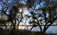 Pimpara Lake Stationstay - Accommodation ACT 3