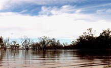 Pimpara Lake Stationstay - Accommodation ACT 5