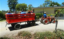 Rivergum Holiday Retreat - Accommodation ACT 2