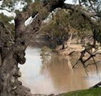 Trilby Station - Accommodation ACT