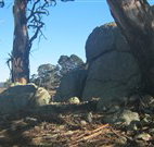 Warreen Farmstay Rural Accommodation - Accommodation ACT