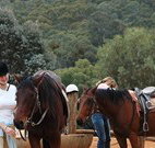 Chesleigh Homestead - Accommodation ACT