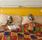 Budget Winchester Motel - Moree - Accommodation ACT