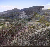 Blackbird Flat Camping Ground - Accommodation ACT