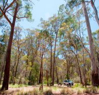 Coolah Tops National Park Camping - Accommodation ACT