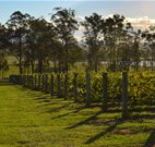 H Boutique Hotel - Pokolbin - Accommodation ACT