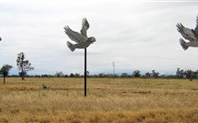 Gulargambone Hotel - Gulargambone - Accommodation ACT 0
