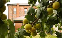 Imperial Fine Accommodation - Broken Hill - Accommodation ACT 7