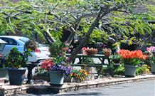 Milgate Motel - Casino - Accommodation ACT 2