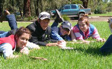 Murrumbidgee Rural Studies Centre Accommodation - Yanco - Accommodation ACT 2