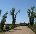 Newell Motor Inn - Narrandera - Accommodation ACT