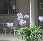 Pine Lodge Motel - Woolgoolga - Accommodation ACT