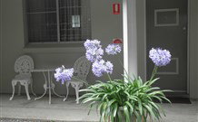 Pine Lodge Motel - Woolgoolga - Accommodation ACT 0