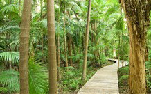 The Byron At Byron Resort And Spa - Byron Bay - Accommodation ACT 1