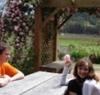 Back Forest Retreat - Accommodation ACT