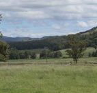 Ingleden Park Bed And Breakfast Farmstay Cottages - Accommodation ACT