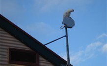 Lake View Farm House - Accommodation ACT 7