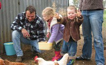 Linga Longa Farm Wingham - Accommodation ACT 0