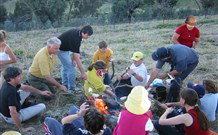 Linga Longa Farm Wingham - Accommodation ACT 3