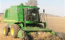 Linga Longa Farm Wingham - Accommodation ACT 4