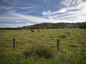 Goolmangar NSW Accommodation ACT