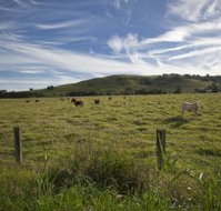 Annas Retreat - Accommodation ACT