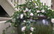 Amore Boutique Bed And Breakfast - thumb 2