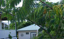 Amore Boutique Bed And Breakfast - Accommodation ACT 1