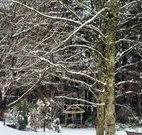 Bethany Manor Bed and Breakfast - Accommodation ACT