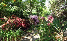 Briardale Bed And Breakfast - Accommodation ACT 4