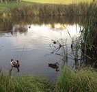 Harewood House Bed and Breakfast - Accommodation ACT
