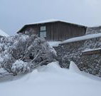 Knockshannoch Ski Lodge - - Accommodation ACT