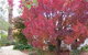 Langford House B&B - thumb 4
