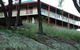 Whispering Pines Bush Retreat - thumb 2