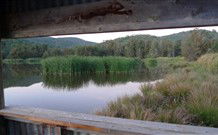 Whispering Pines Bush Retreat - Accommodation ACT 3