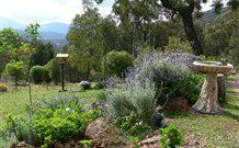 Whispering Pines Bush Retreat - Accommodation ACT 7