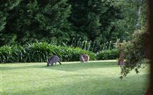 Yallambee Bed And Breakfast - Accommodation ACT 4