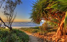 Andrea's Houses - Frangipani House - Accommodation ACT 4