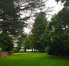 Brigalow Cottage - Accommodation ACT